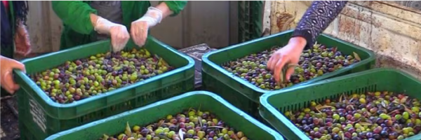 A workshop and local produce